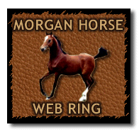 The Morgan Horse WebRing
